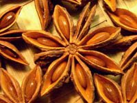 Chakra Phool (Star anise), Star anise exporters in India, Indian Star
